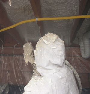 Clearwater FL crawl space insulation